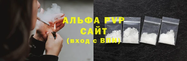 стафф Вязьма